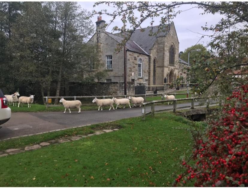 Bed and Breakfast Floyter House North Yorkshire Moors National Park Danby Exterior foto